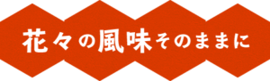 生野蜂蜜研究所　花々の風味そのままに