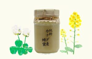 生野蜂蜜研究所　カナダ産蜂蜜