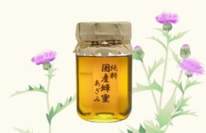 生野蜂蜜研究所　あざみ蜂蜜